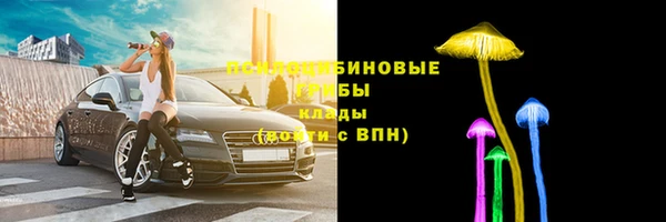 скорость mdpv Белокуриха