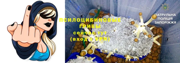 каннабис Баксан