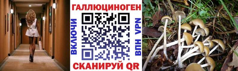 ОМГ ОМГ как зайти  Курильск  Галлюциногенные грибы MAGIC MUSHROOMS  где купить наркотик 